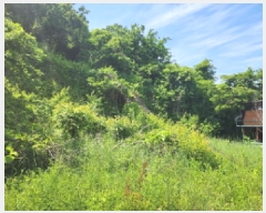  2025Ÿ��1222 ��� ȭ���� �ۻ�� ��ȭ�� 635      ����(��1)���