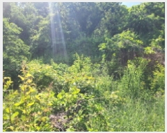  2025Ÿ��1222 ��� ȭ���� �ۻ�� ��ȭ�� 635      ����(��1)���