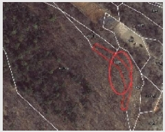  2025Ÿ��1222 ��� ȭ���� �ۻ�� ��ȭ�� 635      ����(��1)���