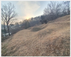  2025Ÿ51201  ȭ  ⸮ 138-1      (Ӿ)