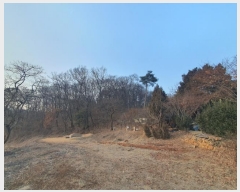  2025Ÿ51201  ȭ  ⸮ 138-1      (Ӿ)