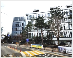  2025Ÿ��51331 ��� ���ν� ���ﱸ ��õ��201���� 14, 1����193ȣ (�󼭵�,�����̾�����ĳ�����Ｍõ)    ��,�繫�ǰ��