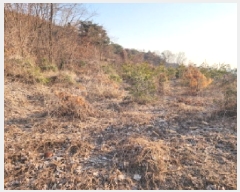  2025Ÿ51423  ȭ  ȭ긮 1200-38      (Ӿ)