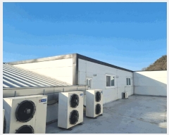  2025Ÿ��51478  ������