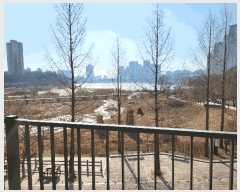  2025Ÿ��53474 ��� ������ ���뱸 ������ 38, 101�� 27��2703ȣ (�ϵ�,������������ũ��ũ)   ���ǽ��ڰ��