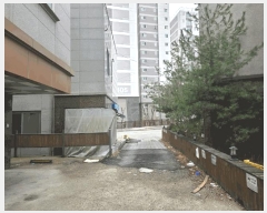  2025Ÿ��54678  �ټ���(����)���