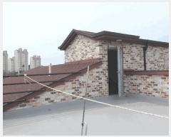  2025Ÿ��54903  �ٸ����ð��