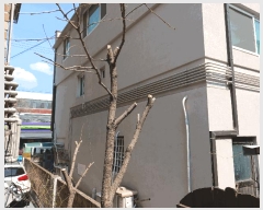  2025Ÿ��55057  �ٸ����ð��