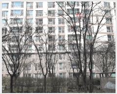  2025Ÿ��55417  ����Ʈ���