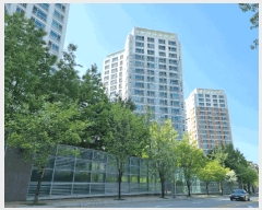  2025Ÿ��55677  ����Ʈ���