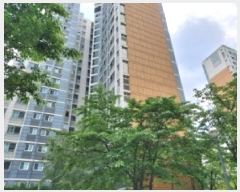  2025Ÿ��55677  ����Ʈ���