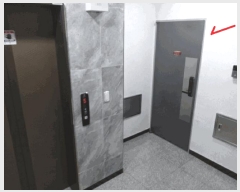  2025Ÿ��55755  �ټ���(����)���