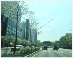  2025Ÿ��1138 ��� ������ ���뱸 ���ǵ� 1352 ��������1309���ǽ��� 108�� 5��509ȣ   ���ǽ��ڰ��