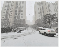  2025Ÿ��50055 ��� ���ν� ���ﱸ ������126���� 46, 303�� 10��1003ȣ (����,�μӸ��������׻��̵�)   ����Ʈ���