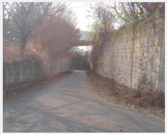  2025Ÿ��50284  ���ð��