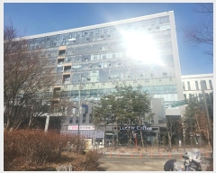  2025Ÿ��51348 ��� ���ν� ���ﱸ ��õ��201���� 14, 1����194ȣ (�󼭵�,�����̾�����ĳ�����Ｍõ)    ��,�繫�ǰ��