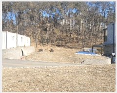  2025Ÿ��51614 ��� ���ν� ���ﱸ ������ 142-3      ����(��)���