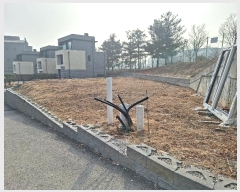  2025Ÿ��51706 ��� ���ν� ���ﱸ ������ 142-5      ����(��)���