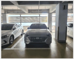  2025Ÿ��57591 ���ν� ���ﱸ ����3��11���� 12, 3��(�ߵ�)      �������