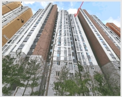  2025Ÿ��850  ����Ʈ���