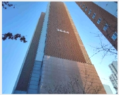  2025Ÿ��850  ����Ʈ���