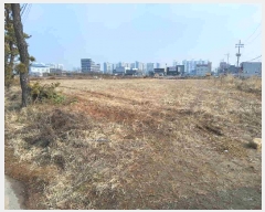  2025Ÿ��51928  ����