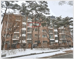  2025Ÿ��53962  �ټ���(����)���