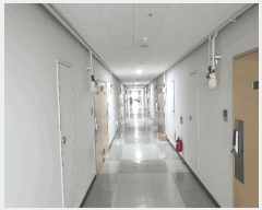  2025Ÿ��54470  ���ǽ��ڰ��