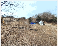  2025Ÿ��54651  �Ӿ߰��