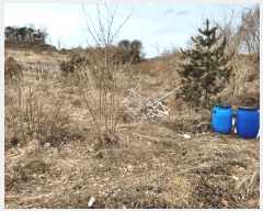  2025Ÿ��54651  �Ӿ߰��