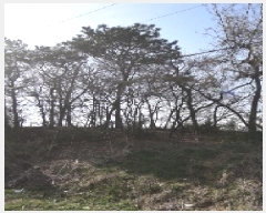  2025Ÿ��54651  �Ӿ߰��