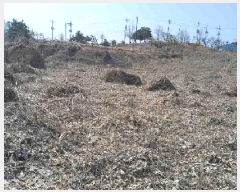  2025Ÿ��54651  �Ӿ߰��