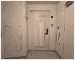  2025Ÿ��54873  ����Ʈ���