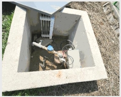  2025Ÿ��55149  ������