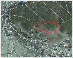  2025Ÿ��55279 ��� ȭ���� ������ ��ȭ�� ��20      ����(�Ӿ�)���
