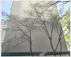  2025Ÿ��55374 ��� ������ �Ǽ��� �ݰ 66 ��������Ʈ 105�� 2��201ȣ   ����Ʈ���