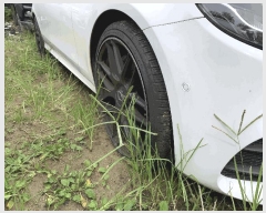  2025Ÿ��57020  �������