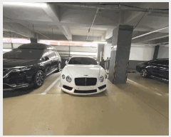  2025Ÿ57741  ν ﱸ 3 11 12, 3 (ߵ,긯Ÿ)   