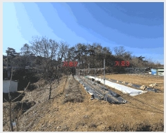  2025Ÿ��53535 ��� ȭ���� ��ȸ� �� 375-11      ����(�Ӿ�)���