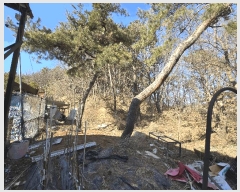  2025Ÿ��53535 ��� ȭ���� ��ȸ� �� 375-11      ����(�Ӿ�)���