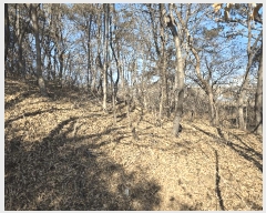  2025Ÿ��53535 ��� ȭ���� ��ȸ� �� 375-11      ����(�Ӿ�)���