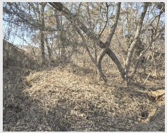  2025Ÿ��53535 ��� ȭ���� ��ȸ� �� 375-11      ����(�Ӿ�)���