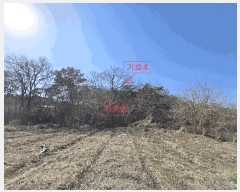  2025Ÿ��53535 ��� ȭ���� ��ȸ� �� 375-11      ����(�Ӿ�)���