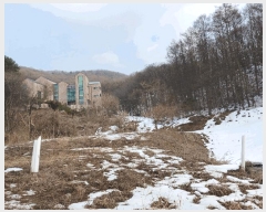  2025Ÿ��54322 ��� ���ν� ó�α� ������ ��â�� ��47     ����(�Ӿ�)���