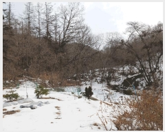  2025Ÿ��54322 ��� ���ν� ó�α� ������ ��â�� ��47     ����(�Ӿ�)���