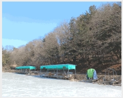  2025Ÿ��54322 ��� ���ν� ó�α� ������ ��â�� ��47     ����(�Ӿ�)���