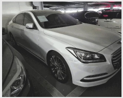  2025Ÿ��56386 ����� ����� 95 ����ī       �������