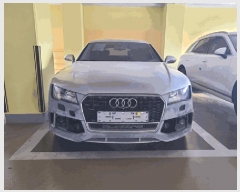  2025Ÿ56503 ν ﱸ 311 12, 3 (ߵ)     