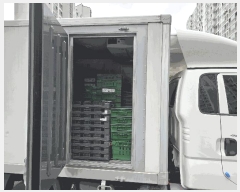  2025Ÿ��56687 ������ ��ȱ� ���ڵ� 881-4 �ɸ������Ѹ������Ʈ 262�� 203ȣ    �������