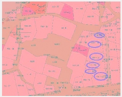  2025Ÿ��258  �������